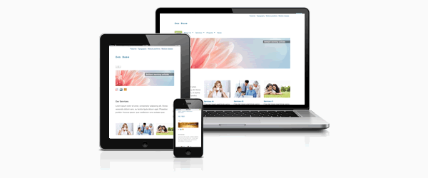 zenbase-responsive